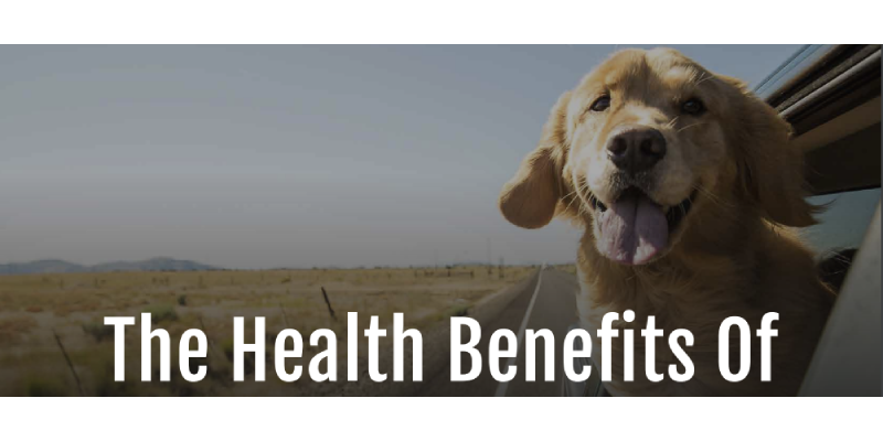 The Health Benefits of Owning a Dog