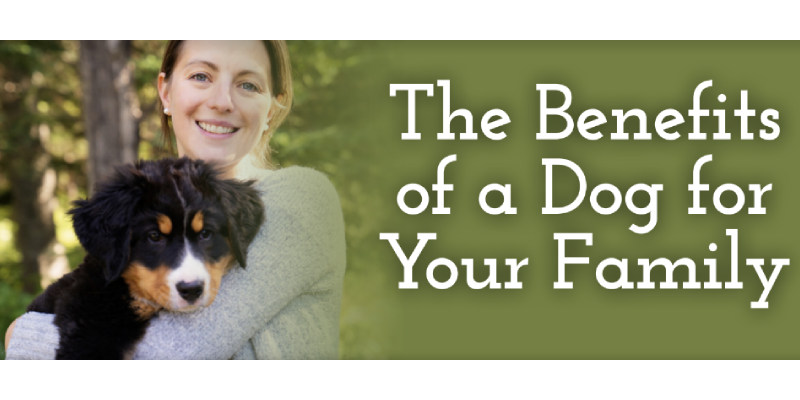 The Benefits of a Dog for Your Family