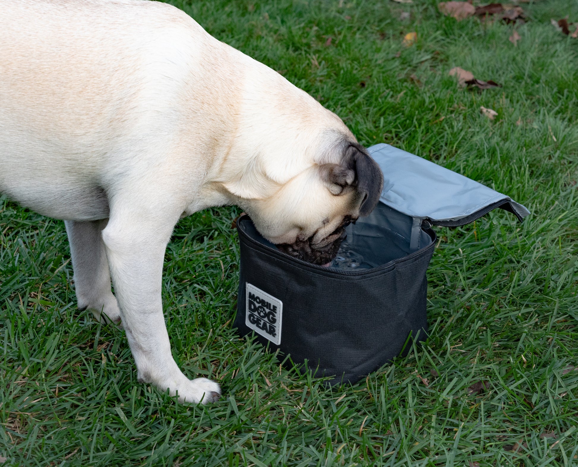 OUT-OF-OFFICE INSULATED PET FOOD CARRY CASE